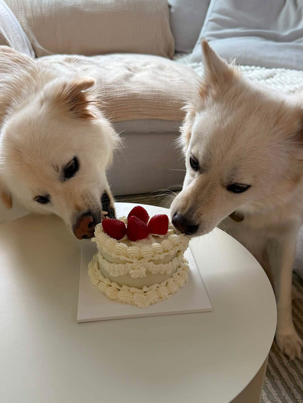 Strawberry Vintage Cake