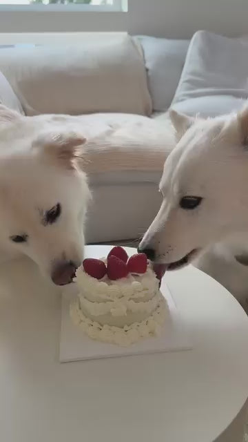 Strawberry Vintage Cake